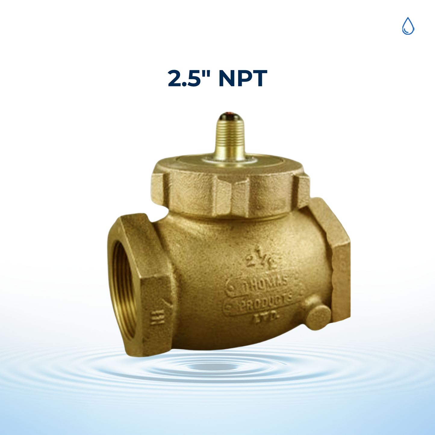 2.5_npt_1