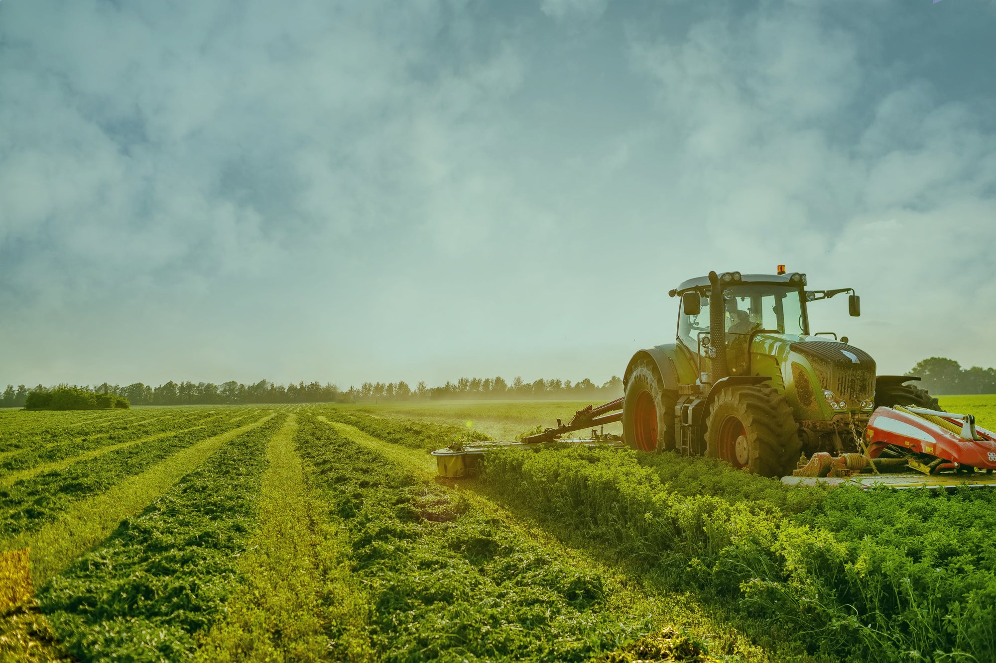 <p>Agricultural Industry</p>