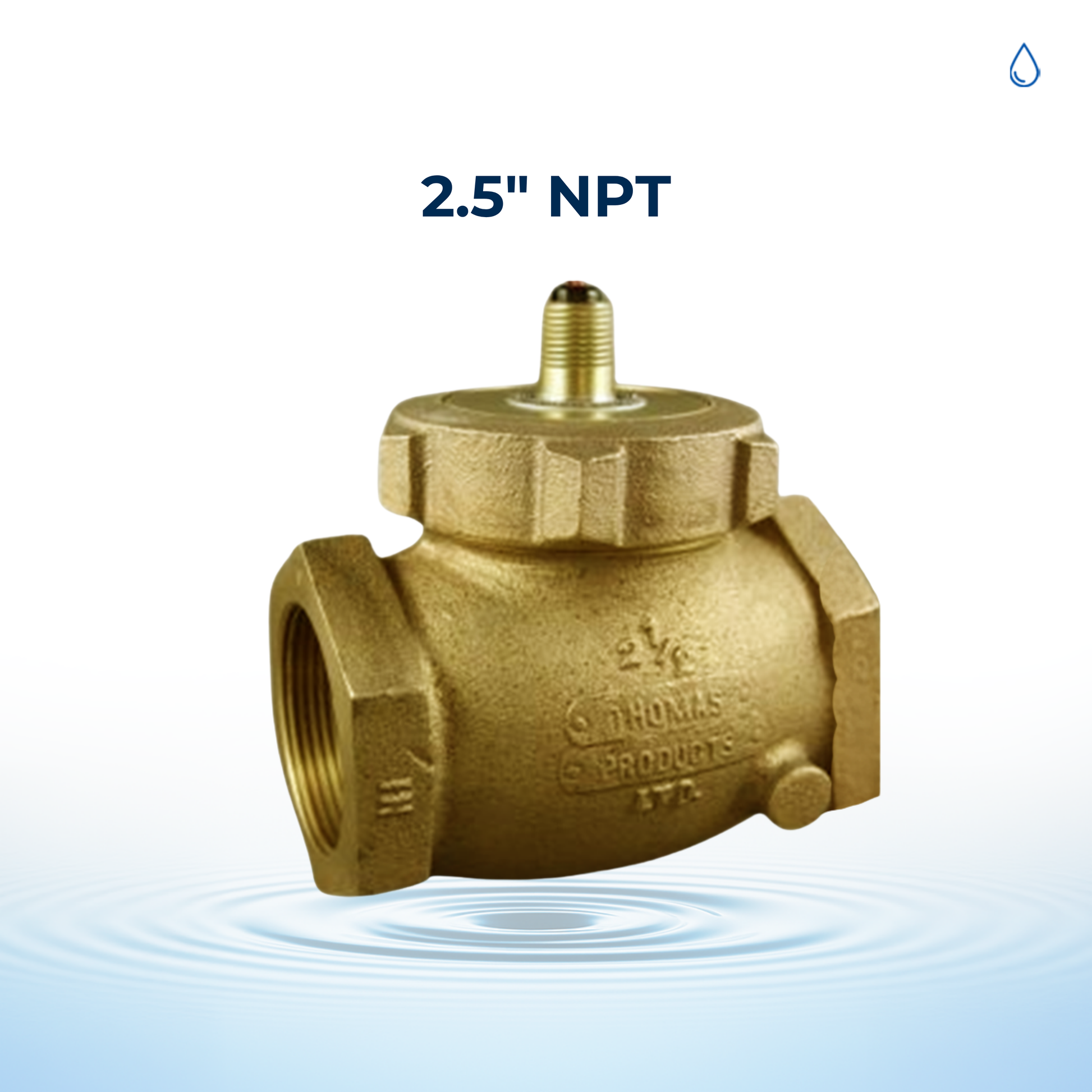 2.5_npt_1